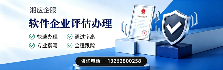 丽水软件企业评估申报服务