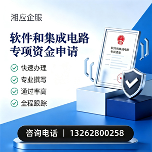 丽水软件和集成电路专项资金申报服务