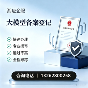 丽水大模型备案申报服务