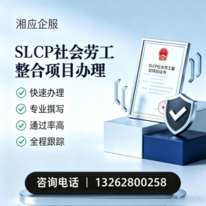 丽水SLCP社会劳工整合项目申报服务