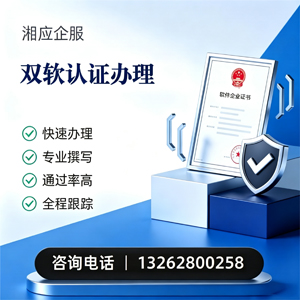 丽水双软认证申报服务