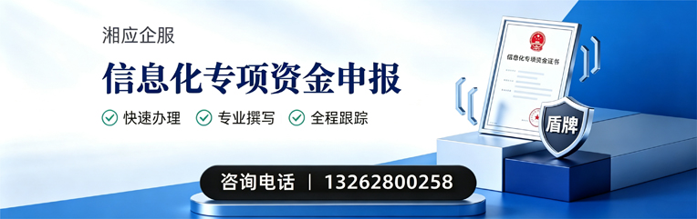 丽水信息化专项资金申报服务