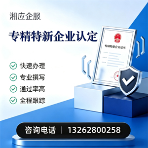 丽水专精特新企业申报服务