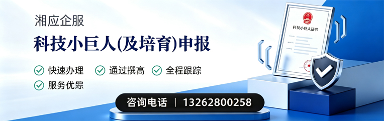 丽水科技小巨人及培育企业申报服务