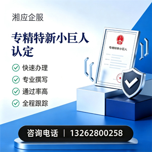 丽水专精特新小巨人申报服务
