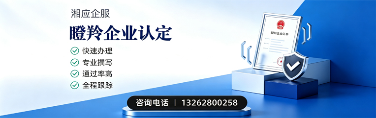 丽水瞪羚企业认定申报服务