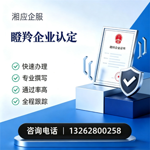 丽水瞪羚企业认定申报服务