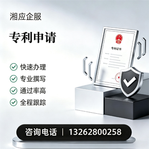 丽水专利申请服务