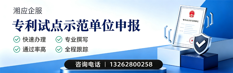 丽水专利试点示范单位申报服务