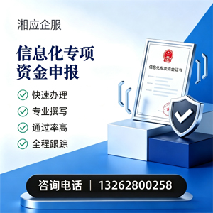 丽水信息化专项资金申报服务