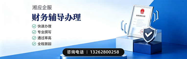 丽水财务辅导申请服务