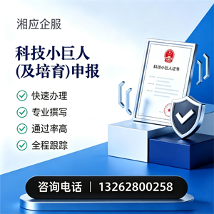 丽水科技小巨人及培育企业申报服务