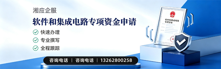 丽水软件和集成电路专项资金申报服务