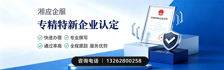 丽水专精特新企业申报服务