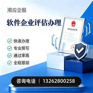 丽水软件企业评估申报服务