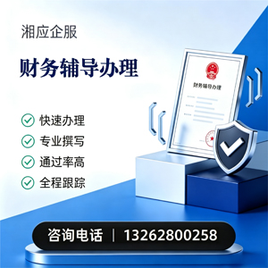 丽水财务辅导申请服务