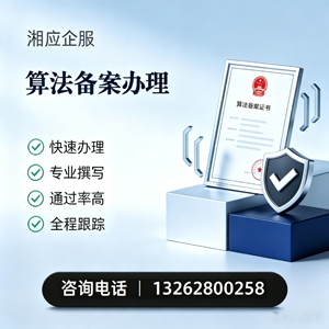 丽水算法备案申报服务