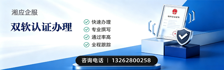 丽水双软认证申报服务