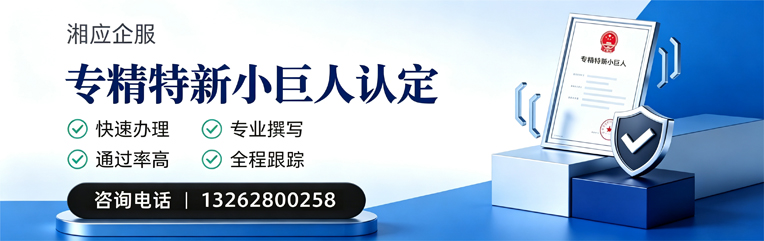 丽水专精特新小巨人申报服务